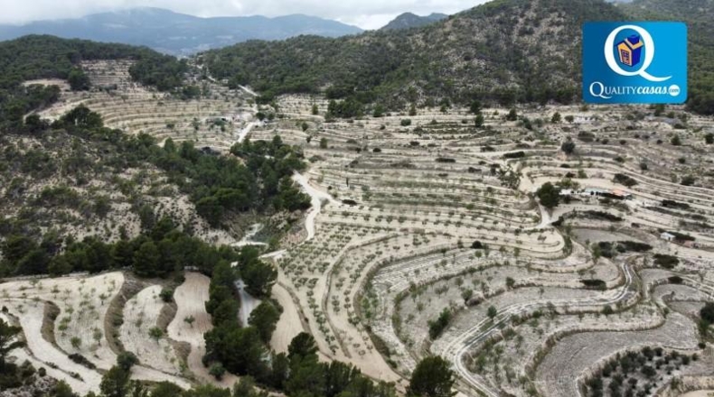 Alicante - Jijona - 25000m2