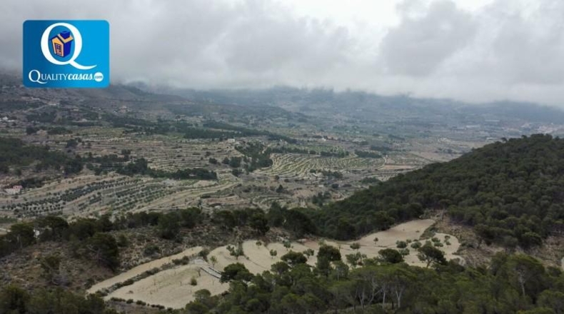 Alicante - Jijona - 25000m2