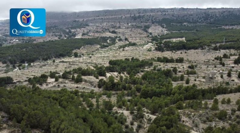 Alicante - Jijona - 25000m2
