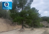 Parcel·la urbanitzable en venda a la España, Xixona, ref.: TR404308 foto