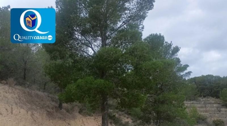 Alicante - Jijona - 25000m2