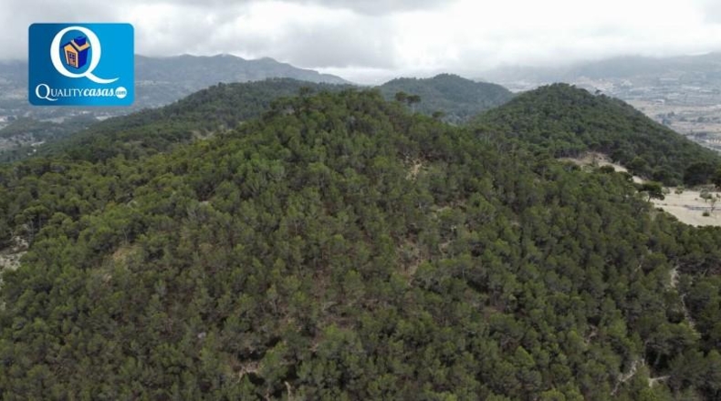Alicante - Jijona - 25000m2