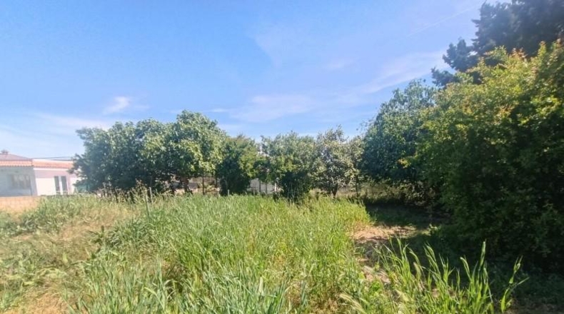 Cádiz - El Puerto de Santa María - 950m2