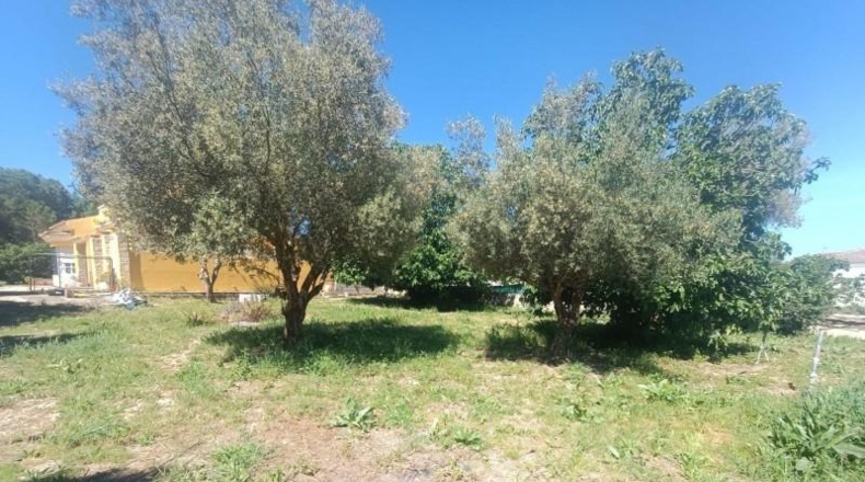 Cádiz - El Puerto de Santa María - 950m2