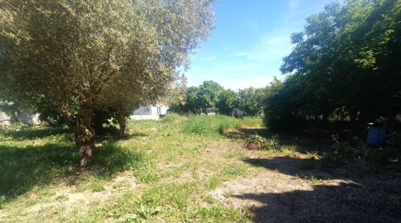 Cádiz - El Puerto de Santa María - 950m2
