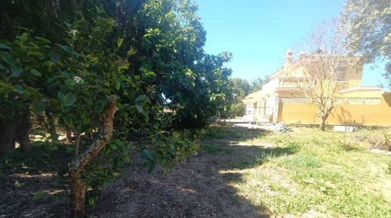 Cádiz - El Puerto de Santa María - 950m2