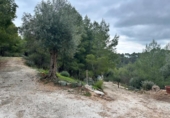 Xalet independent amb terreny en venda a la España, Alozaina, ref.: TR399050 foto