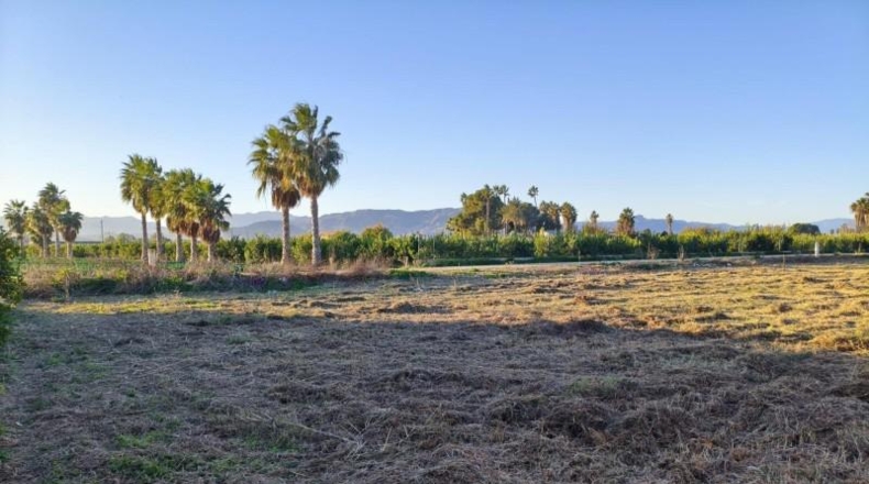 Мурсия - Murcia - 2255m2