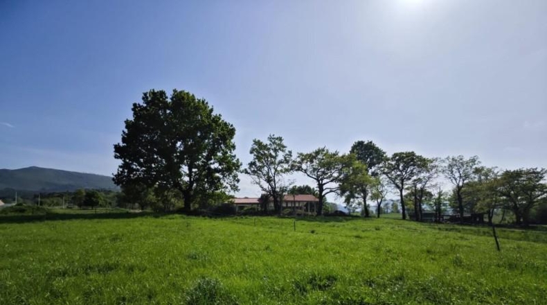 Cantabria - Cabezón de la Sal - 3785m2