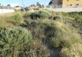 Sòl urbà en venda a la España, Molina de Segura, ref.: TR114532 foto
