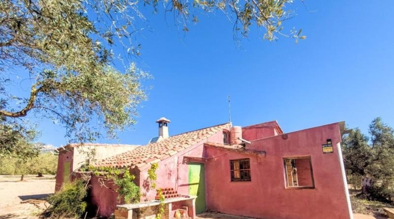 Tarragona - Mas de Barberans - 51555m2