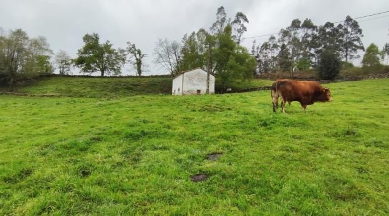 Cantabria - Carrascal de San Miguel - 14539m2