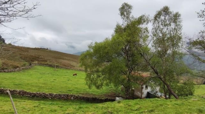 Cantabria - Carrascal de San Miguel - 14539m2
