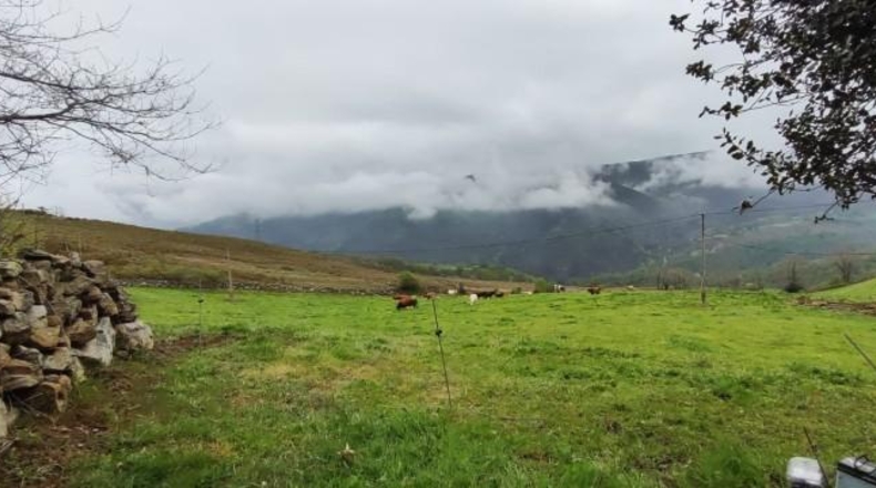 Cantabria - Carrascal de San Miguel - 14539m2