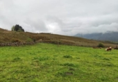 Rural estate for sale on España, San Miguel de Luena, ref: TR404325 photo