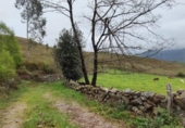 Rural estate for sale on España, San Miguel de Luena, ref: TR404325 photo