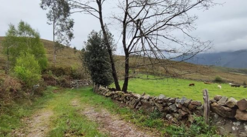 Cantabria - Carrascal de San Miguel - 14539m2