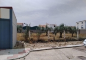 Дом с участком на продажу в городе Quintana de la Serena Фото