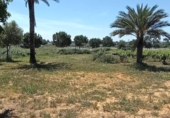 Sòl urbà en venda a la España, Villamanrique de la Condesa, ref.: TR404352 foto