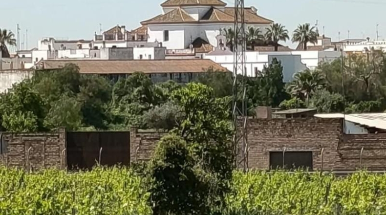 Sevilla - Villamanrique de la Condesa - 30000m2
