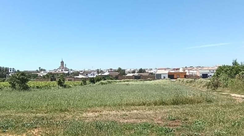 Sevilla - Villamanrique de la Condesa - 30000m2