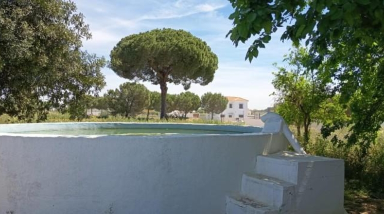 Sevilla - Villamanrique de la Condesa - 30000m2