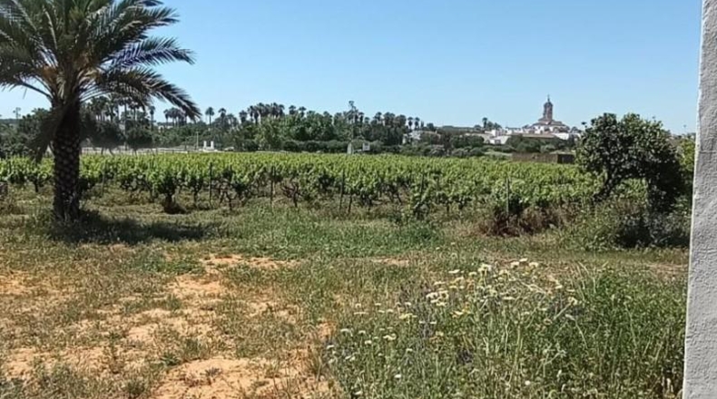 Sevilla - Villamanrique de la Condesa - 30000m2