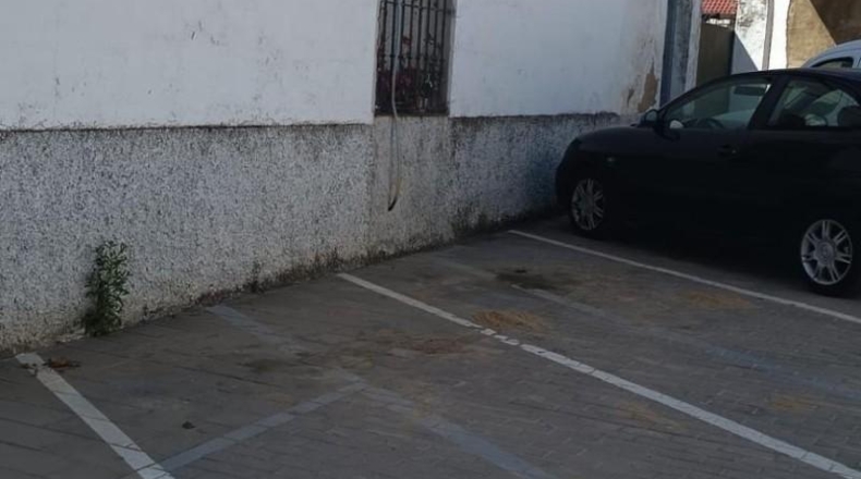 Sevilla - Villamanrique de la Condesa - 30000m2