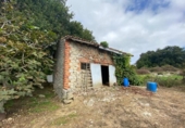 Casa de camp amb terreny en venda a la España, Argoños, ref.: TR176868 foto