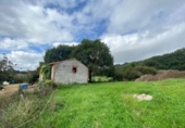 Casa de camp amb terreny en venda a la España, Argoños, ref.: TR176868 foto