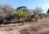 Casa de camp amb terreny en venda a la España, Puerto Lumbreras, ref.: TR155292 foto