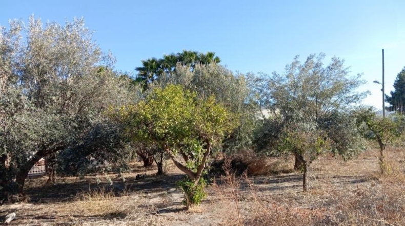 Murcia - Puerto Lumbreras - 700m2