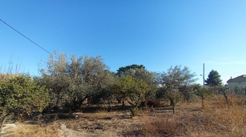 Murcia - Puerto Lumbreras - 700m2
