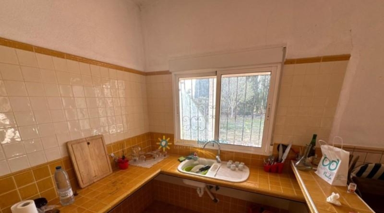 Valencia - el Palomar - 40890m2