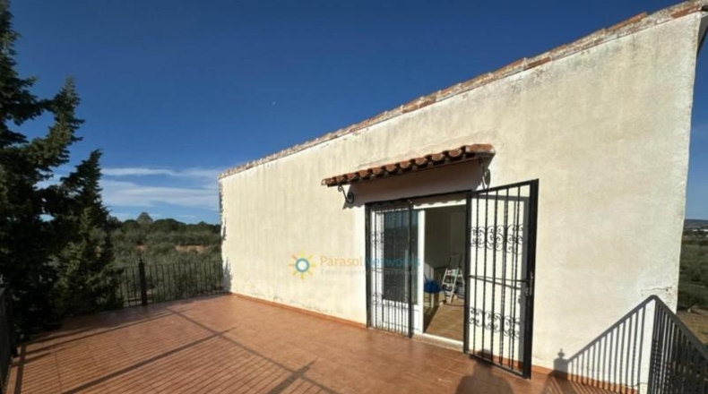 Valencia - el Palomar - 40890m2