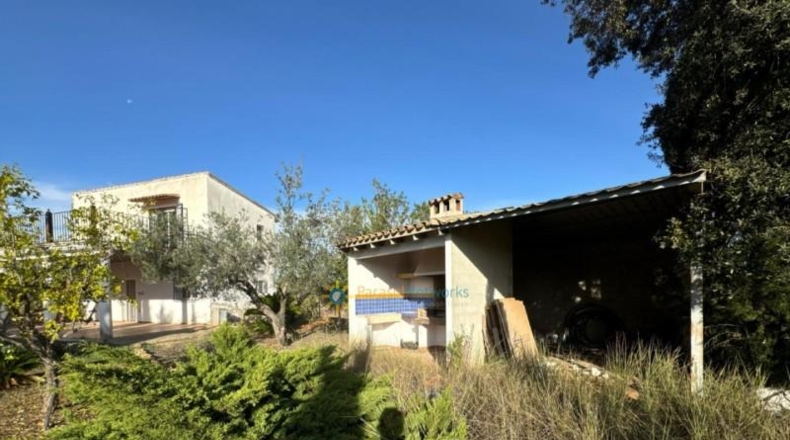 Valencia - el Palomar - 40890m2