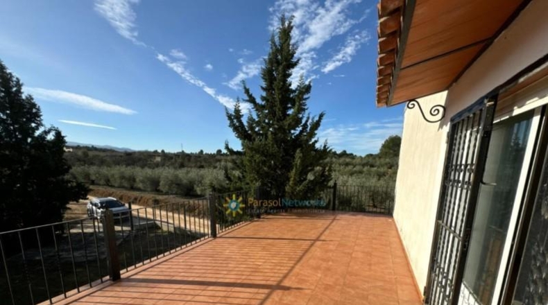 Valencia - el Palomar - 40890m2