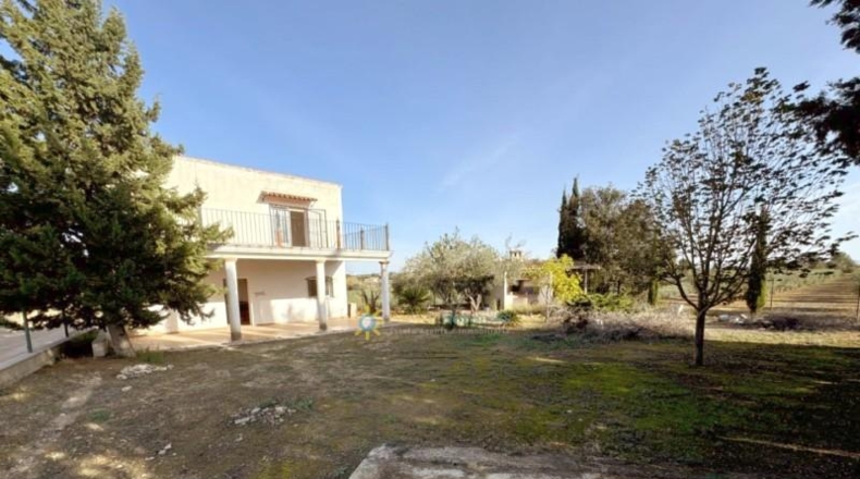 Valencia - el Palomar - 40890m2