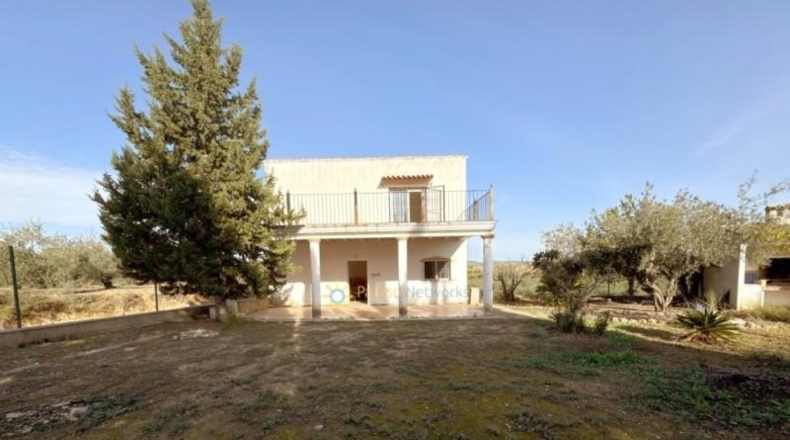 Valencia - el Palomar - 40890m2