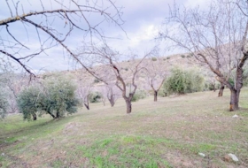 Pinos Genil 71&nbsp;м²