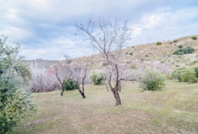 Pinos Genil 71&nbsp;м²
