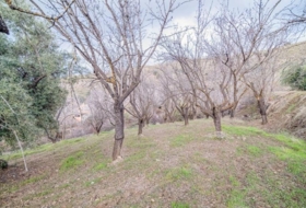 Pinos Genil 71&nbsp;м²