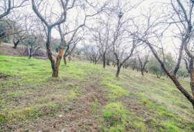Pinos Genil 71&nbsp;м²