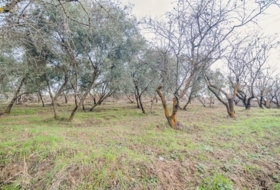 Pinos Genil 71&nbsp;м²