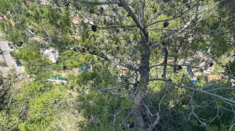 Barcelona - Vallirana - 3743m2