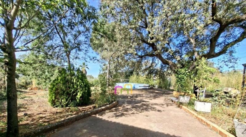 Badajoz - Badajoz - 5100m2