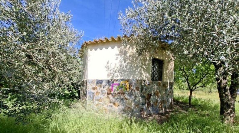 Badajoz - Badajoz - 5100m2