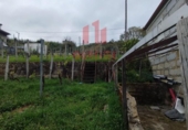 Загородный дом с участком на продажу в городе Оренсе Фото