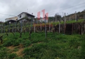Загородный дом с участком на продажу в городе Оренсе Фото