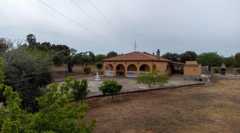 Badajoz - Badajoz - 5000m2